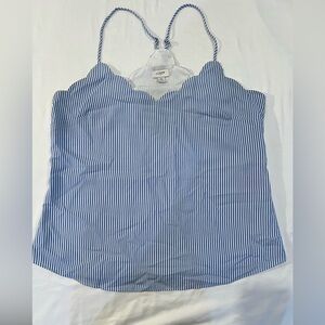 J.Crew Blue & White Pin Striped Shirt